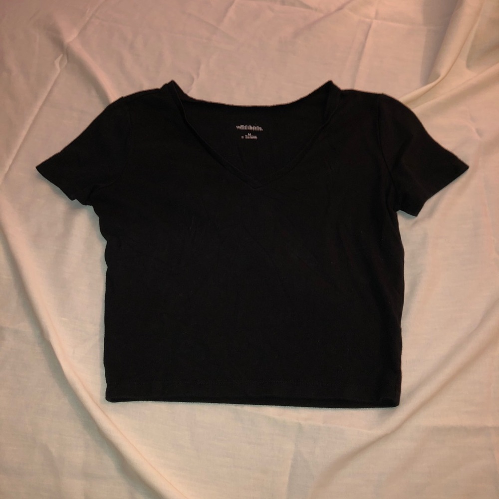 Wild Fable v-neck tee